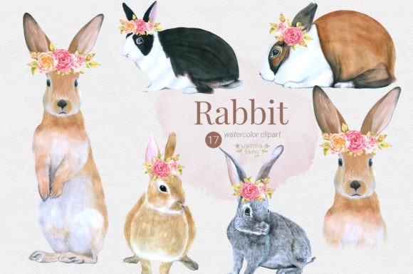 17 Rabbit Watercolor Animal Character, PNG: A Designer's Guide